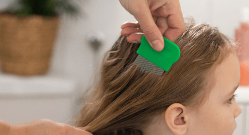 Mano di un adulto che utilizza un pettine fine sui capelli di una bambina per il controllo dei pidocchi, in vista del ritorno a scuola.