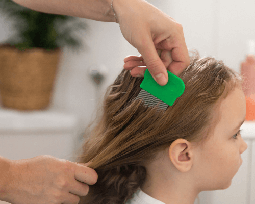 Mano di un adulto che utilizza un pettine fine sui capelli di una bambina per il controllo dei pidocchi, in vista del ritorno a scuola.