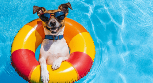 Cane con occhiali da sole che si rilassa in piscina su un salvagente colorato, simbolo di vacanze spensierate e divertimento anche per gli animali domestici.